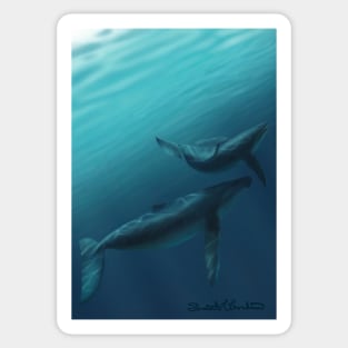 Whales Sticker